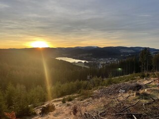 Blick auf den Titisee beim Sonnenuntergang