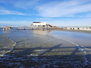 Apartamento St. Peter-Ording Entorno 22