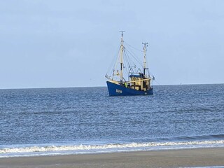 Appartement St. Peter-Ording Environnement 37