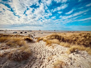 Apartamento St. Peter-Ording Entorno 28