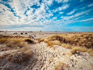 Apartment St. Peter-Ording Environment 17