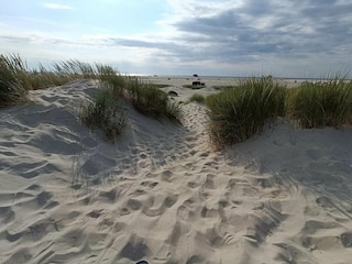Appartement St. Peter-Ording Environnement 34