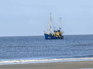 Appartement St. Peter-Ording Environnement 38