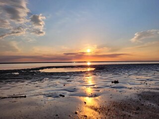 Appartement St. Peter-Ording Environnement 20