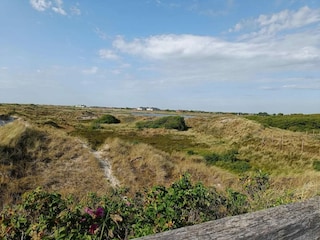 Apartment St. Peter-Ording Umgebung 63