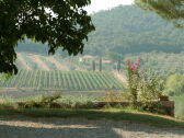 Fattoria Umbertide Registrazione all'aperto 1