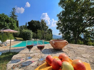 Farmhouse Umbertide  39