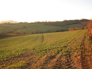 Bauernhof Umbertide Umgebung 35