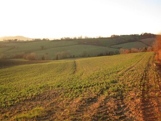 Type de propriété : Ferme Umbertide Environnement 29