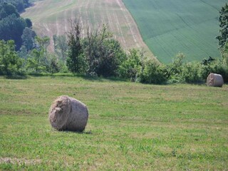 Type de propriété : Ferme Umbertide Environnement 35