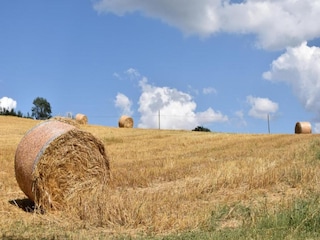 Bauernhof Umbertide Umgebung 32