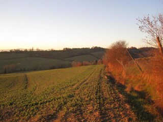 Type de propriété : Ferme Umbertide Environnement 31