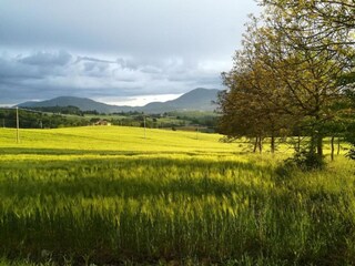 Type de propriété : Ferme Umbertide Environnement 33
