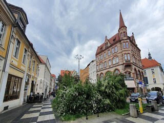 Casa de campo Vollerwiek Grabación al aire libre 4