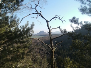 Blick vom Bärenstein
