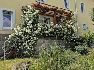 Terrasse Ferienwohnung