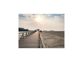 Type de propriété : Chalet Vollerwiek Environnement 21