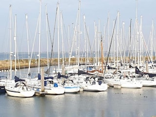 Ferienpark Kamperland Umgebung 18