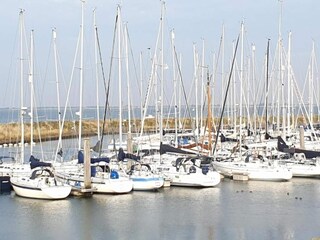 Vakantiepark Kamperland Omgeving 20