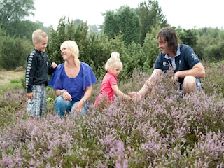 Parc de vacances Vlierden Environnement 20