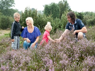 Vakantiepark Vlierden Omgeving 15