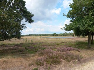 Parc de vacances Vlierden Environnement 16