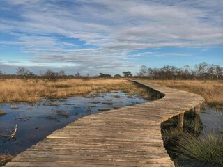 Parc de vacances Vlierden Environnement 26
