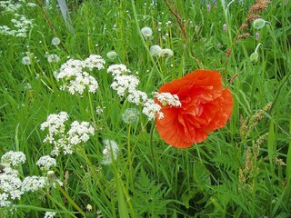 Parco vacanze Hornberg Registrazione all'aperto 4