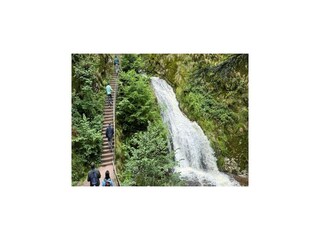 Parco vacanze Hornberg Ambiente 12