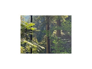 Vakantiepark Hornberg Omgeving 13