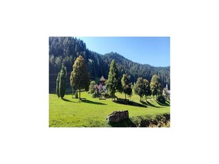 Parco vacanze Hornberg Ambiente 16