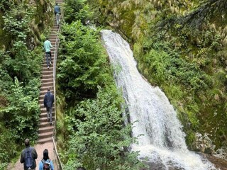 Ferienpark Hornberg Umgebung 17