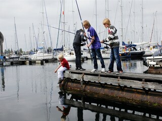 Vakantiepark Kamperland Omgeving 14