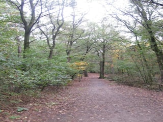 Holiday park Vlierden Environment 13