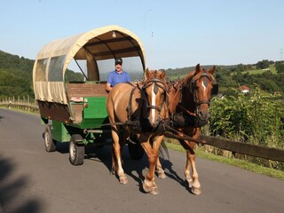 Vakantiepark Kronenburg  35
