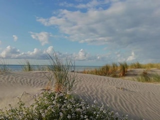 Vakantiepark Quend Omgeving 15