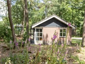 Parc de vacances Joli bungalow dans un parc sans voiture - Vlierden - image1