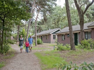 Parco vacanze Vlierden Ambiente 16
