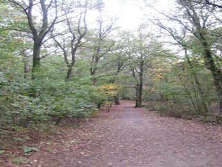 Parco vacanze Vlierden Ambiente 17