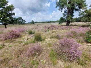 Ferienpark Vlierden Umgebung 11