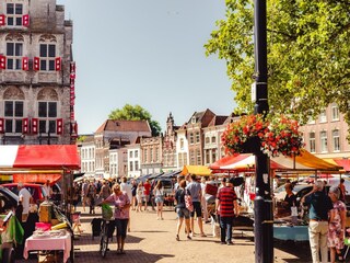 Vakantiepark Hellevoetsluis Omgeving 21