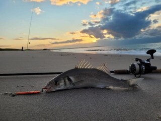 Vakantiepark Wissenkerke Omgeving 29