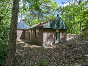 Parc de vacances Beau bungalow dans un parc sans voiture - Vlierden - image1