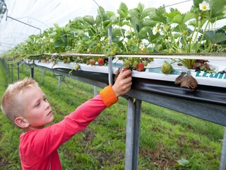 Vakantiepark Vlierden Omgeving 11