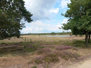 Ferienpark Vlierden Umgebung 18