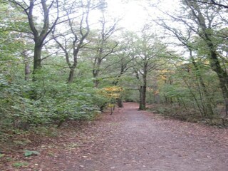 Ferienpark Vlierden Umgebung 13
