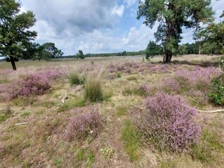 Vakantiepark Vlierden Omgeving 14