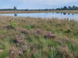 Vakantiepark Vlierden Omgeving 16