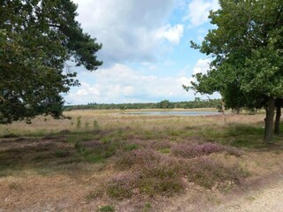 Parco vacanze Vlierden Ambiente 24