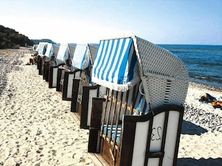 Apartment Boltenhagen Umgebung 10